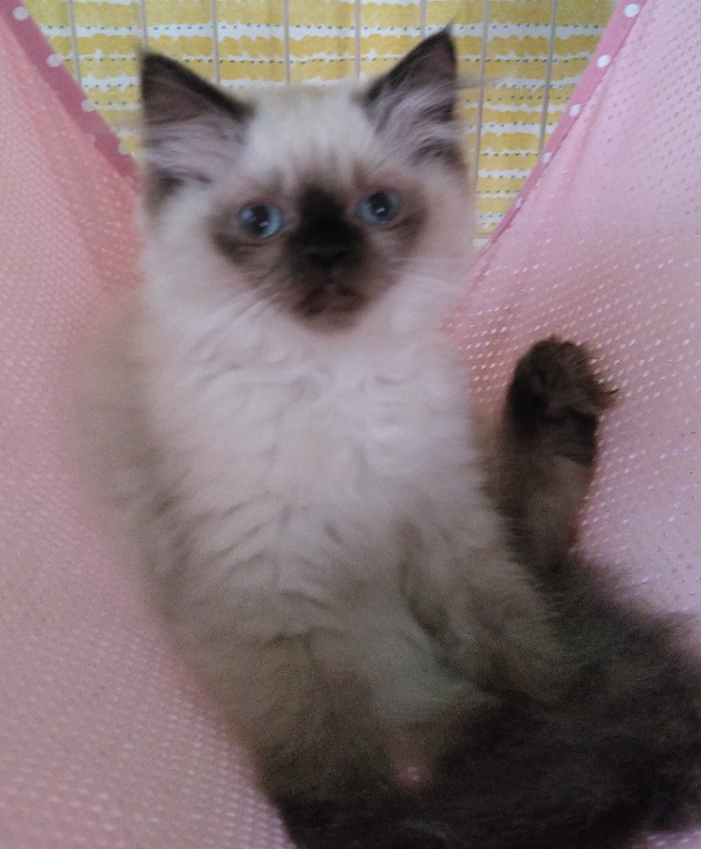 rina_20250630105936747.jpg