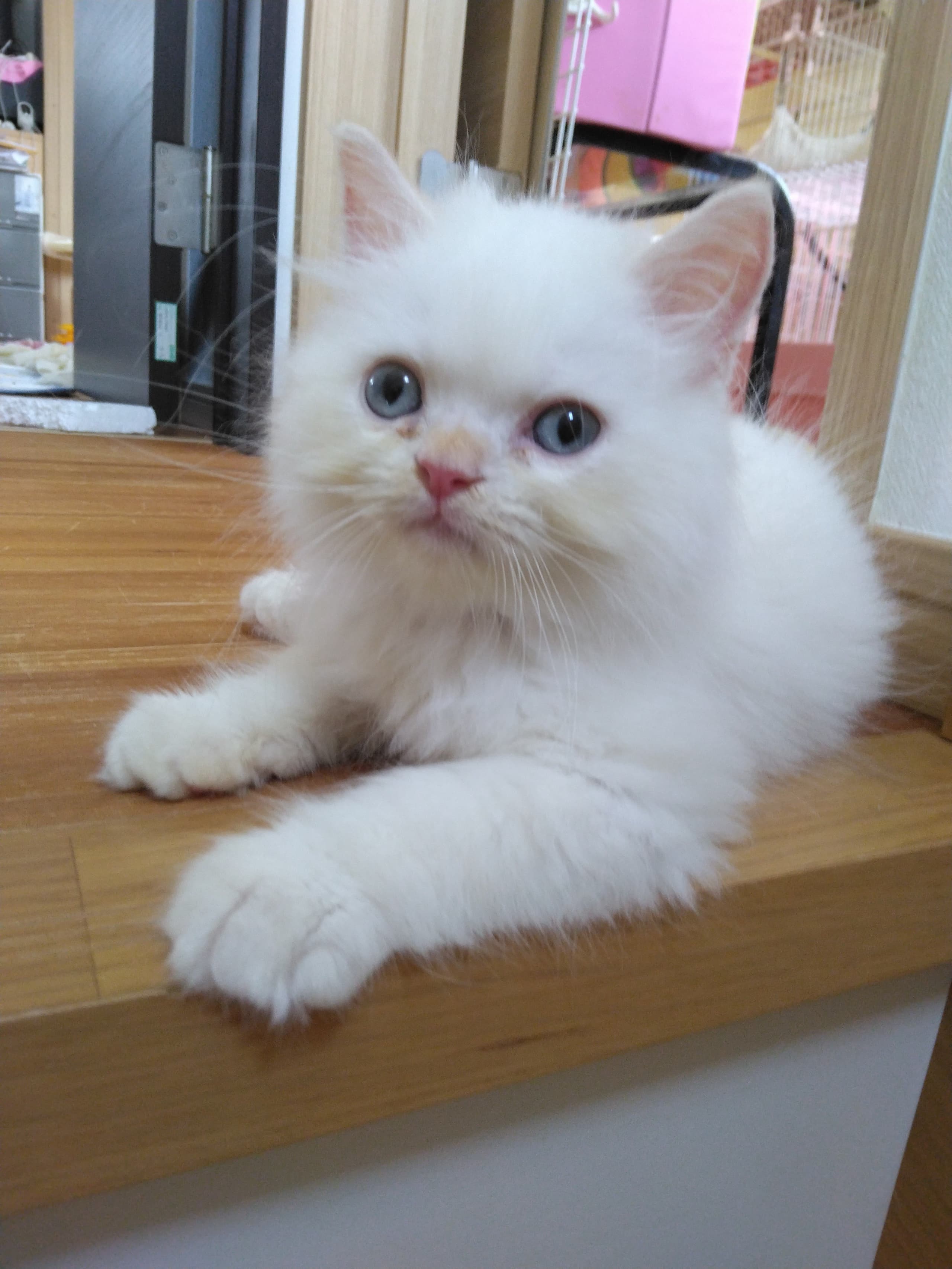 hoshiro_20250922102751161.jpg